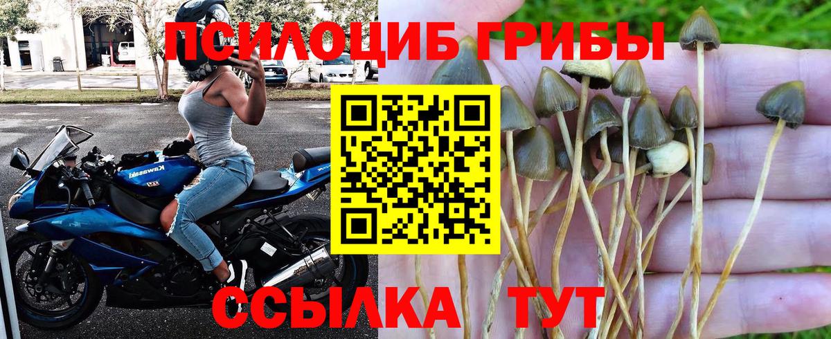 Псилоцибиновые грибы Magic Shrooms  Вход с VPN  Лобня 