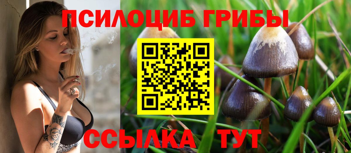 Галлюциногенные грибы GOLDEN TEACHER Лобня